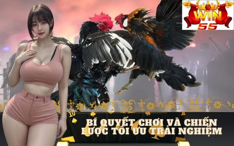 Bí Quyết Chơi Và Chiến Lược Tối Ưu Trải Nghiệm