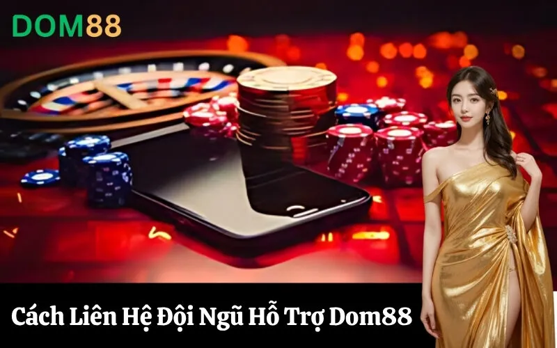 Cách Liên Hệ Đội Ngũ Hỗ Trợ Dom88