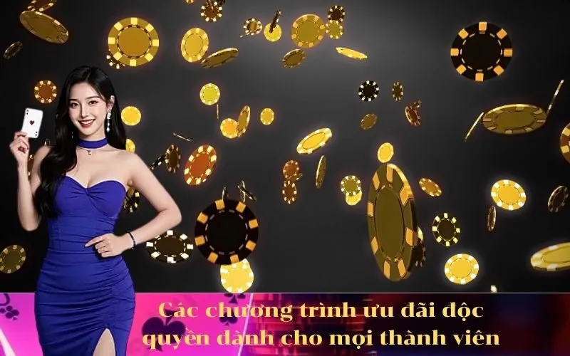 Các chương trình ưu đãi độc quyền dành cho mọi thành viên