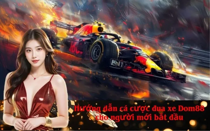 Hướng dẫn cá cược đua xe Dom88 cho người mới bắt đầu