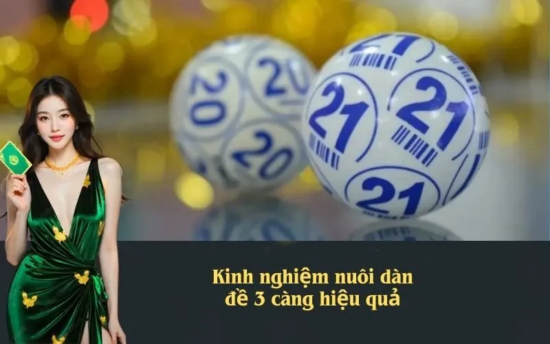Kinh nghiệm nuôi dàn đề 3 càng hiệu quả